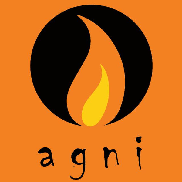 AgNI Consultancy